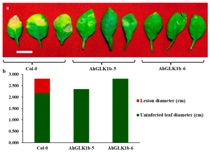 Figure 7