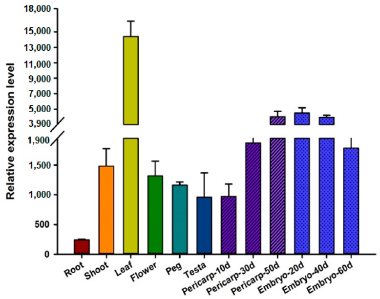 Figure 4