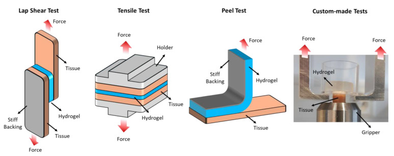 Figure 5