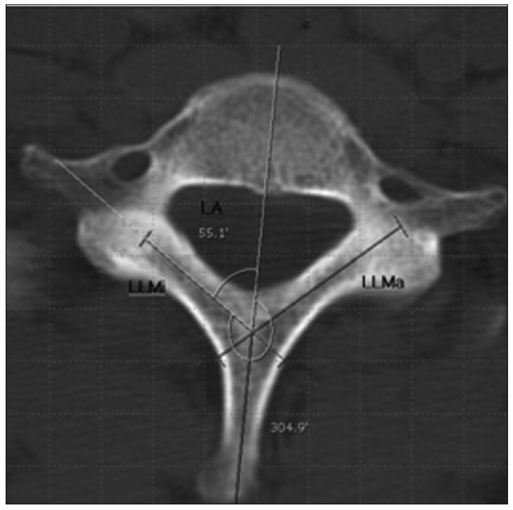 Fig. 1