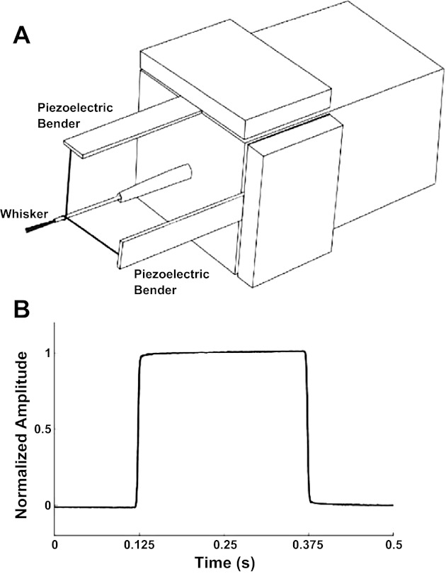 Fig. 1.