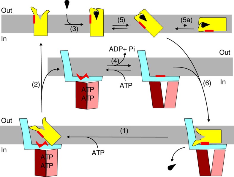 Figure 7