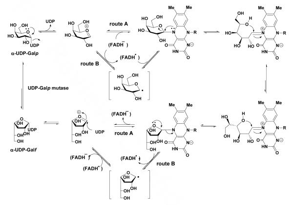 Scheme 1