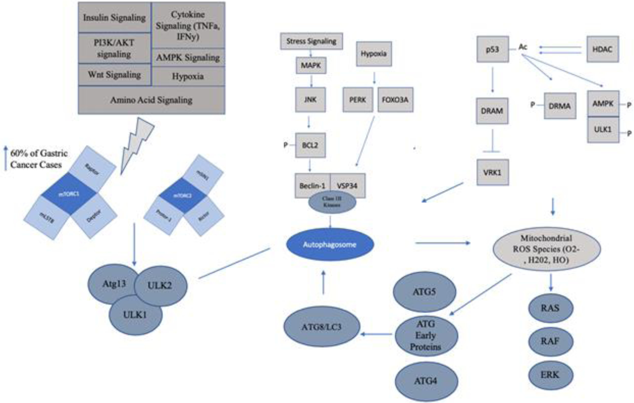 Figure 1: