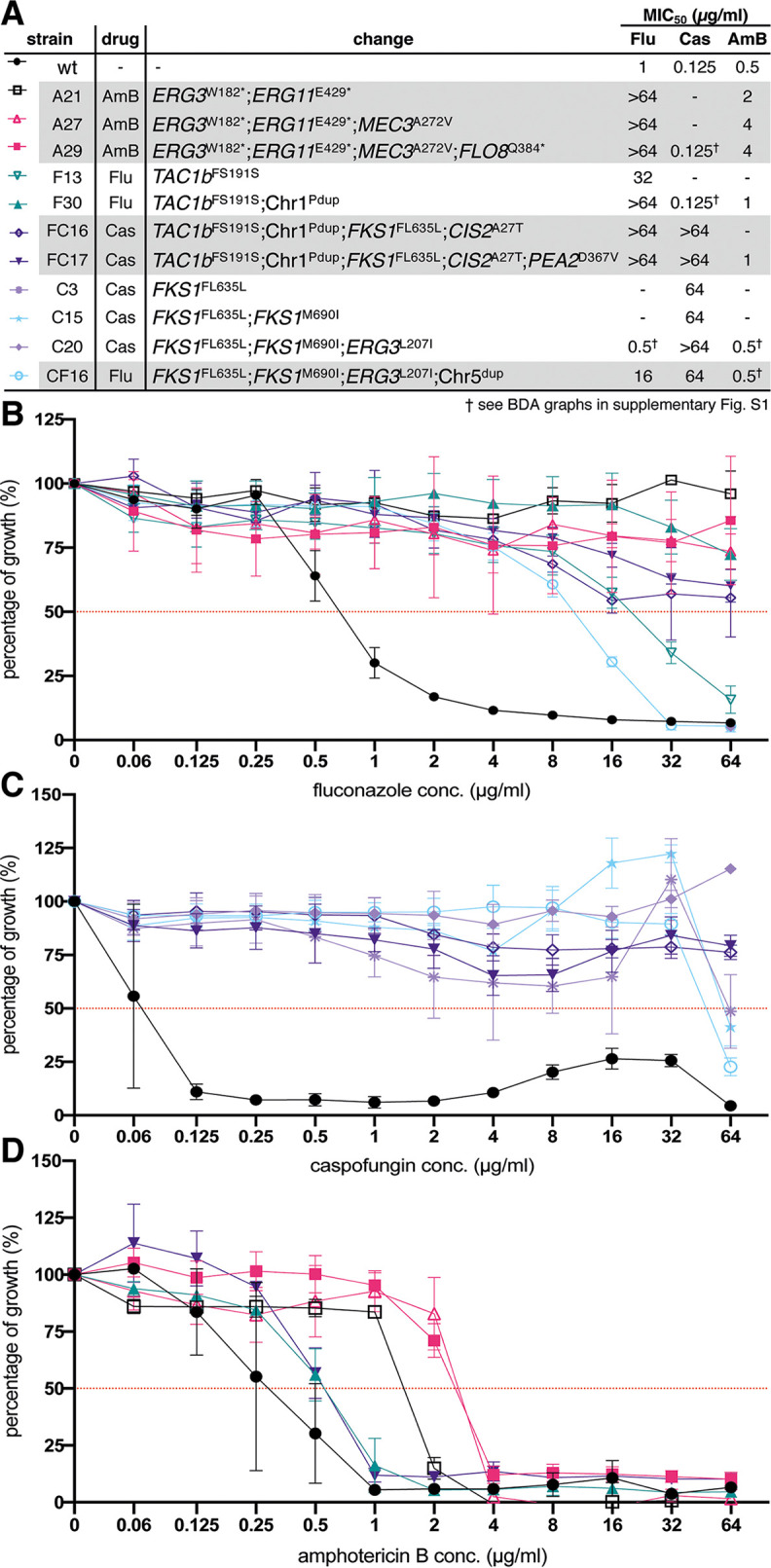 FIG 2