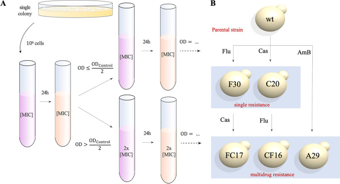 FIG 1