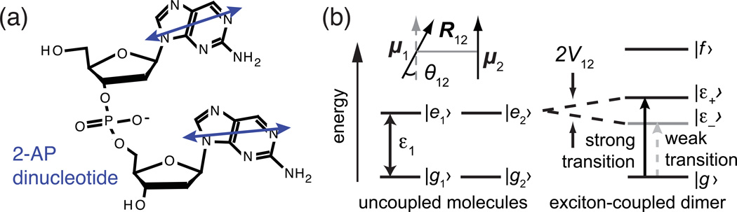 Figure 21