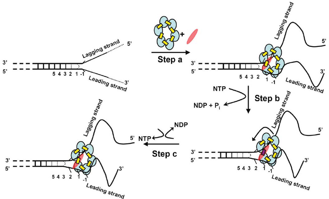 Figure 17
