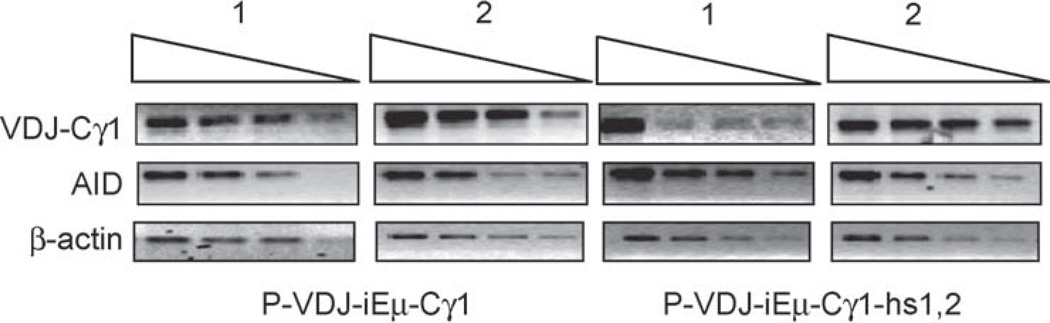 Fig. 4