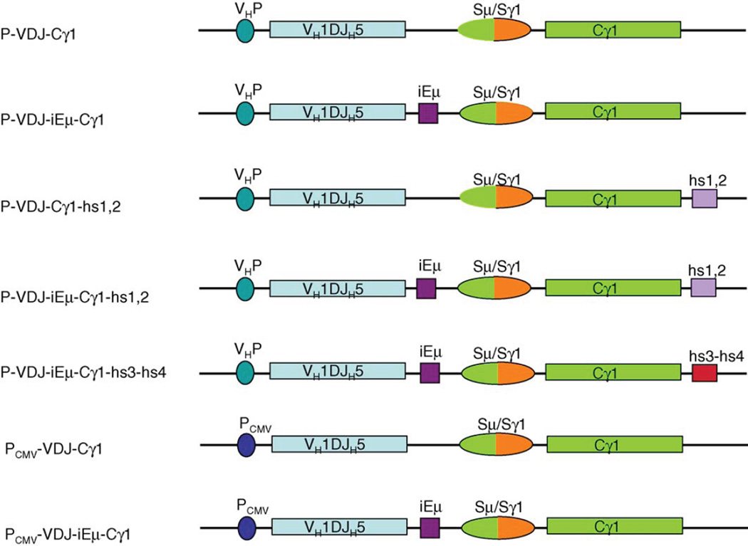 Fig. 1