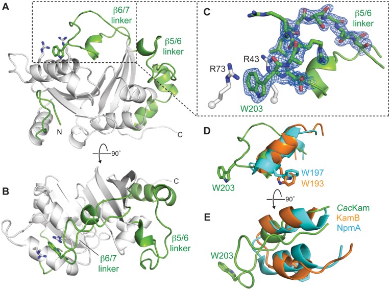 Figure 2.