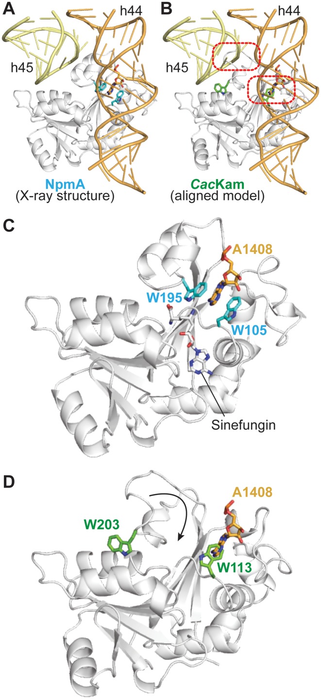 Figure 5.