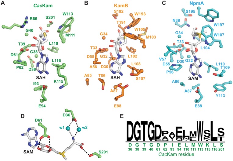 Figure 3.