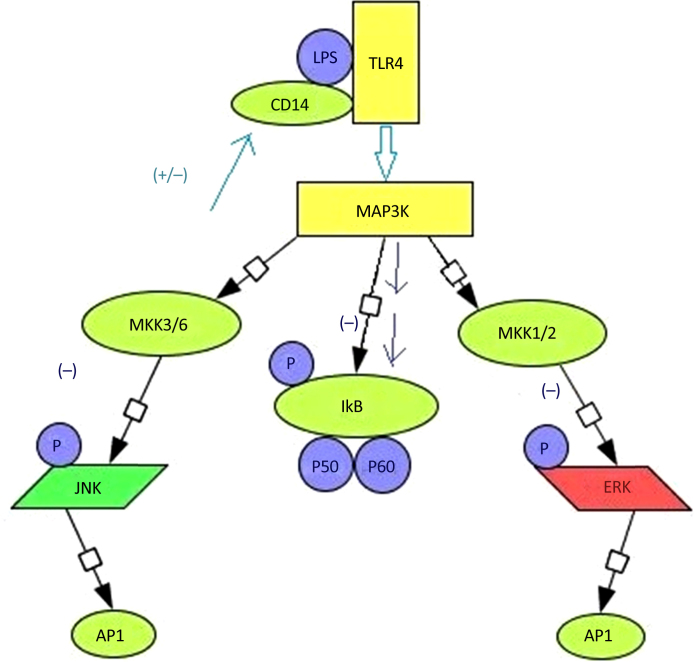 Fig. 4