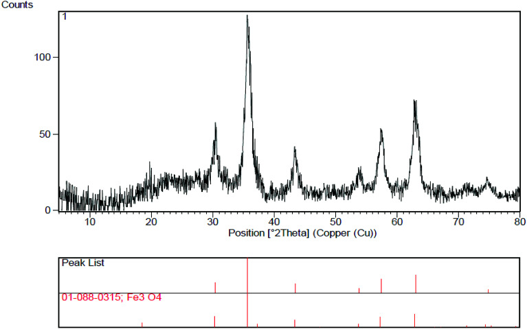 Fig. 10