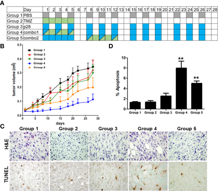 Figure 6