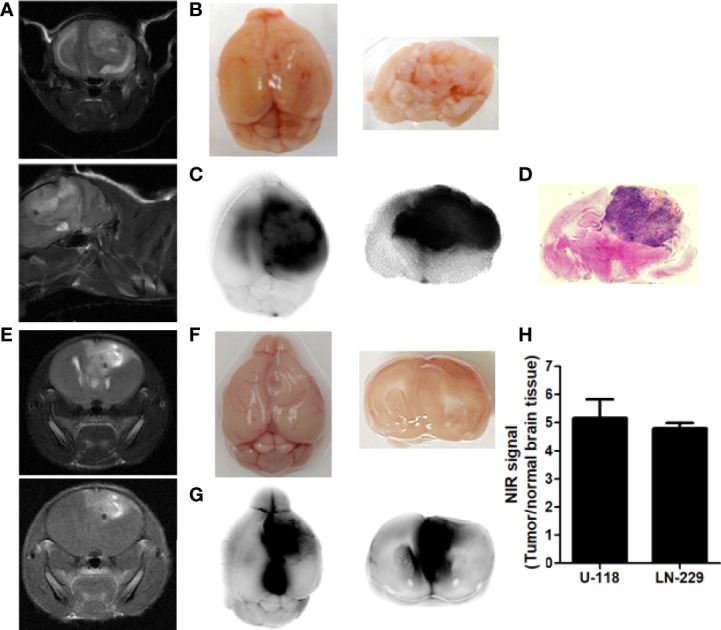 Figure 3