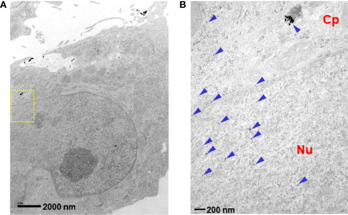 Figure 2