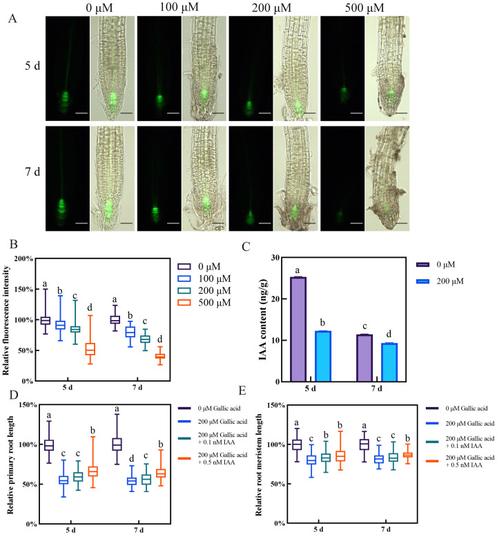 Figure 2