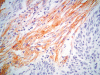 Figure 1‐