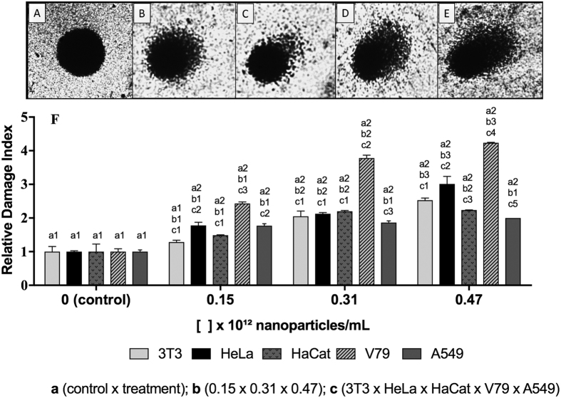 Figure 5