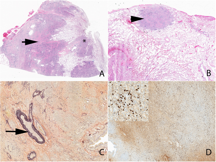 Figure 10.