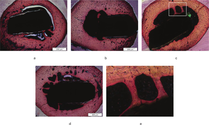 Fig. 5