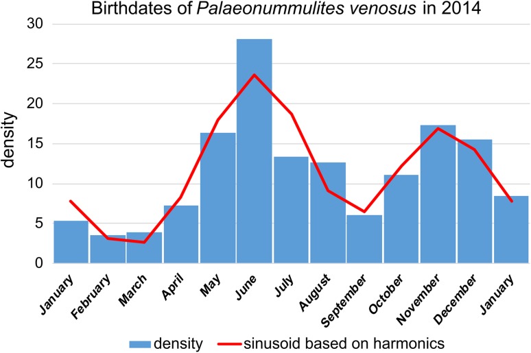 Fig. 10