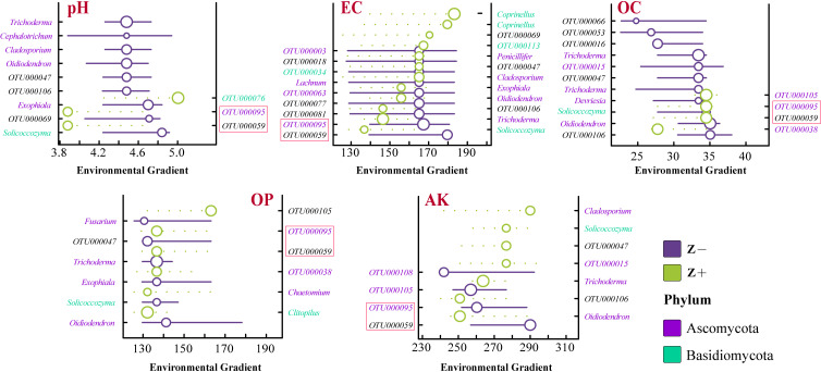 Bubble plots depict fungal taxa distributions along environmental gradients with the taxa categorized by group and phylum. Bubble size reflects taxa abundance at specific gradient levels.