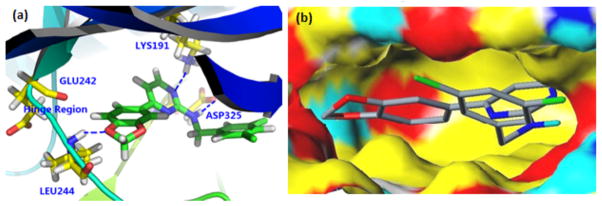 Figure 6