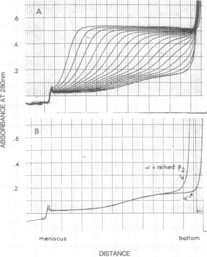 graphic file with name pnas00024-0058-a.jpg