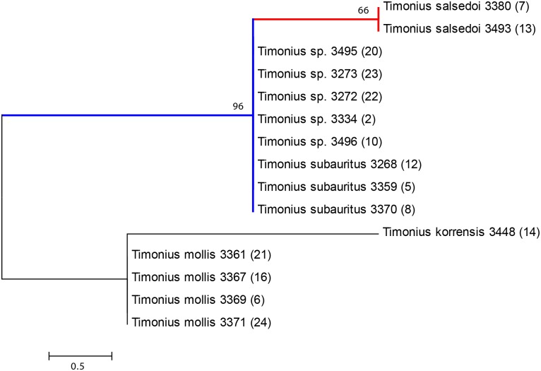 Fig 4