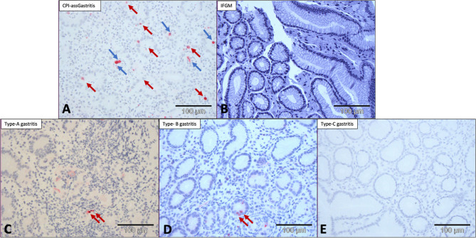 Figure 3