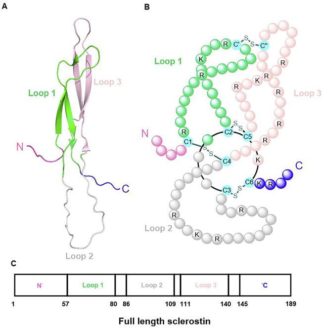 Figure 1