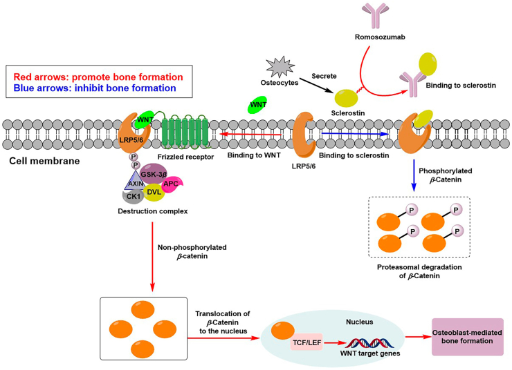 Figure 3