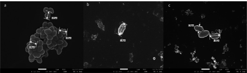 Figure 12