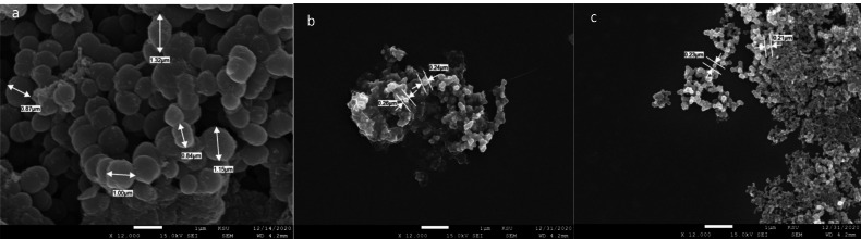 Figure 13