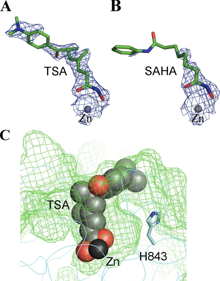 FIGURE 4.