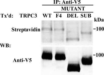 FIGURE 10.