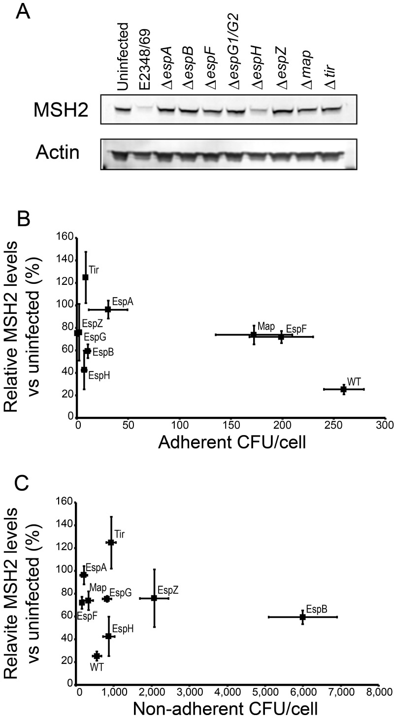 FIG 2 