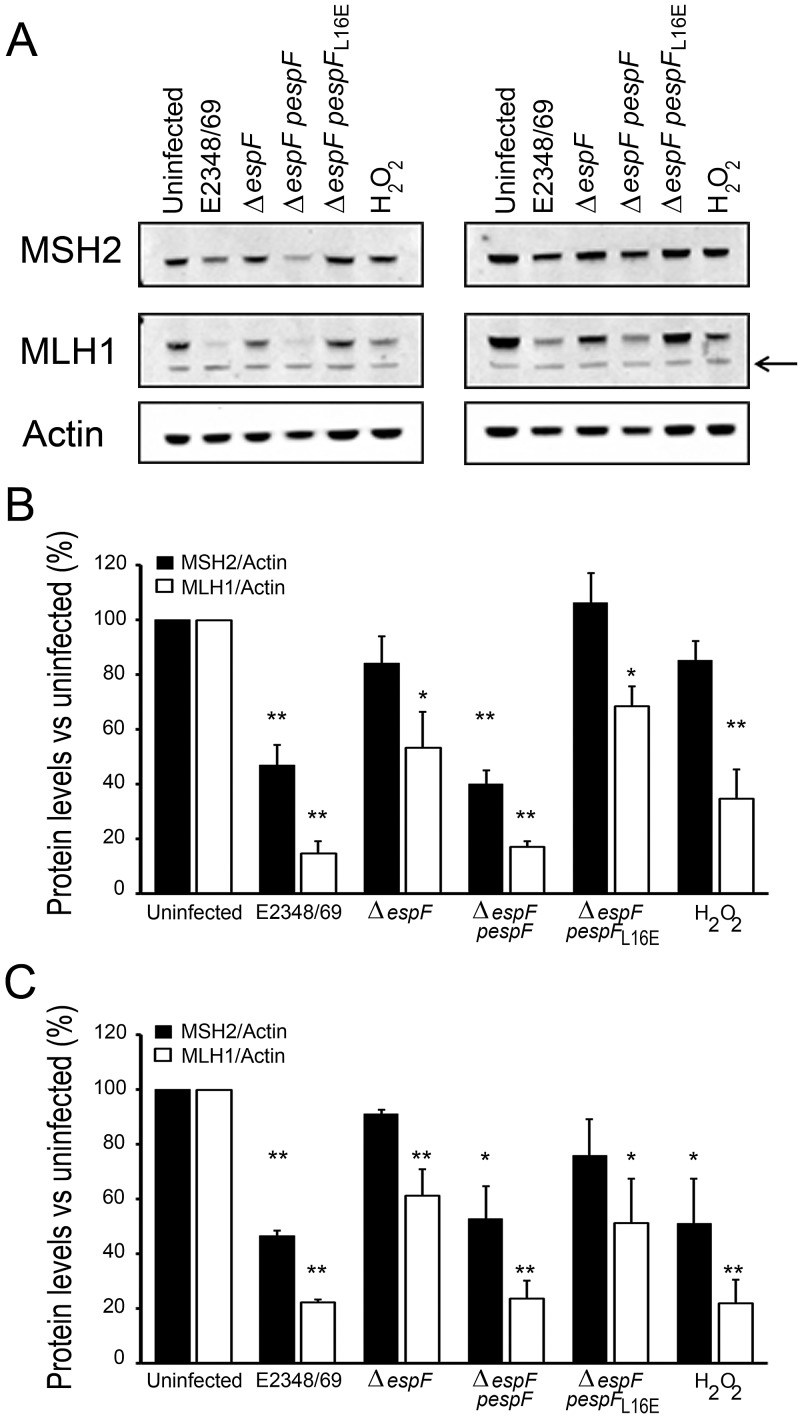 FIG 3 