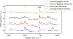 Fig. 11.