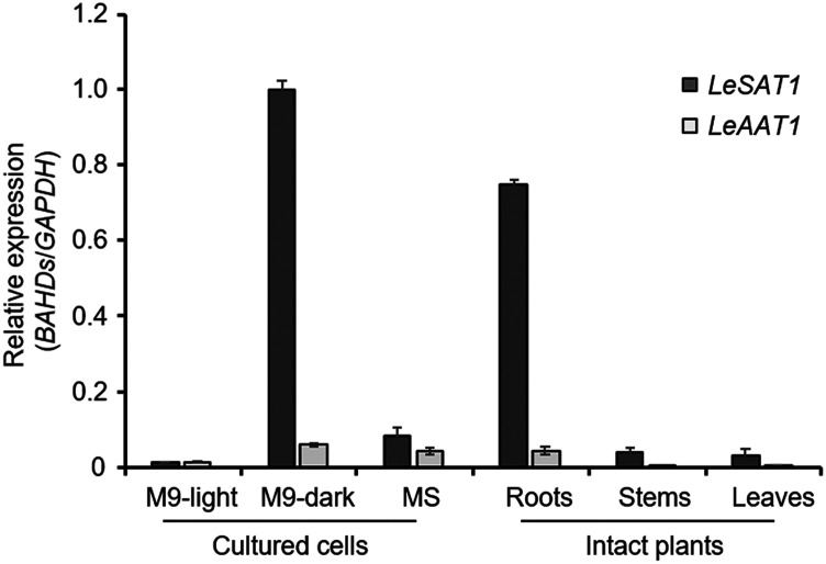 Figure 6.