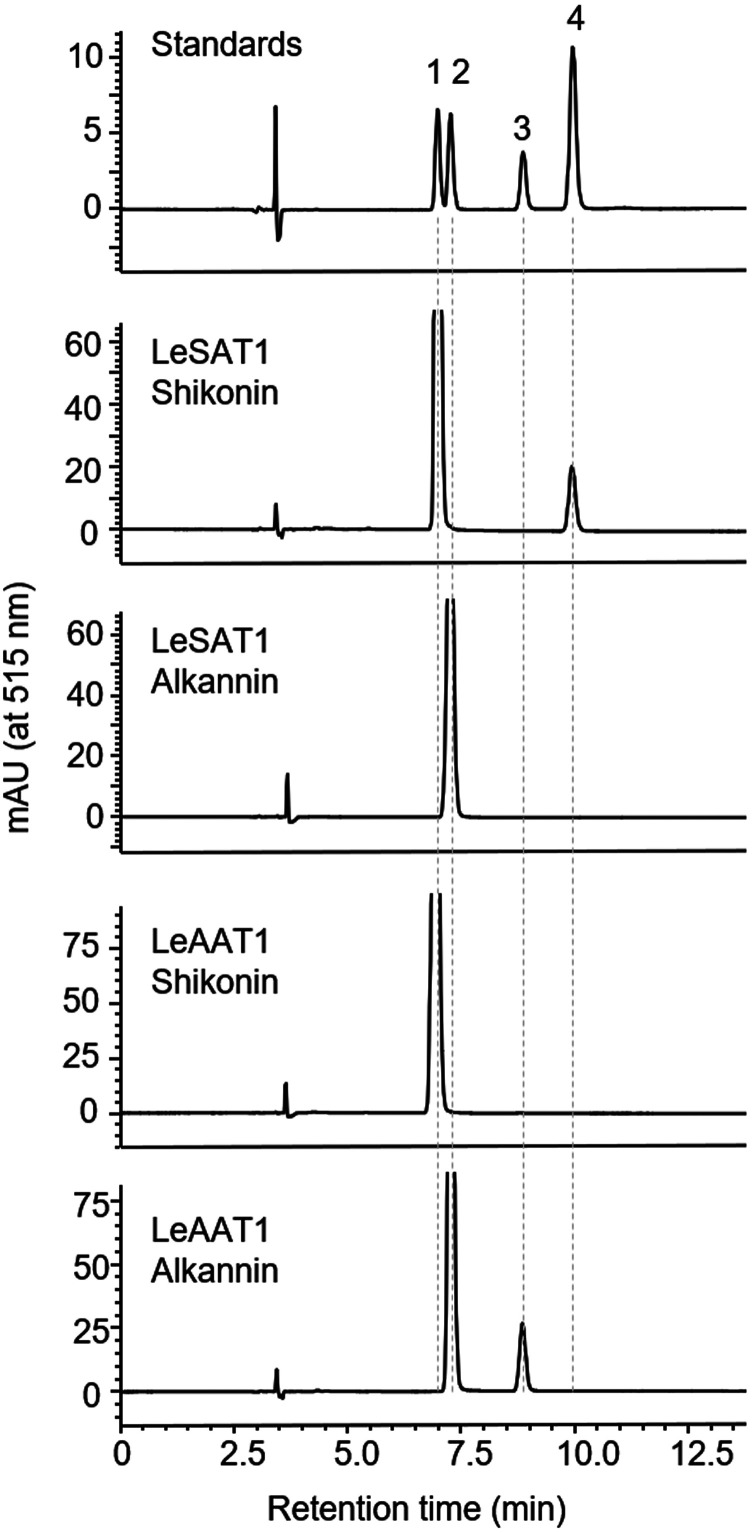 Figure 3.