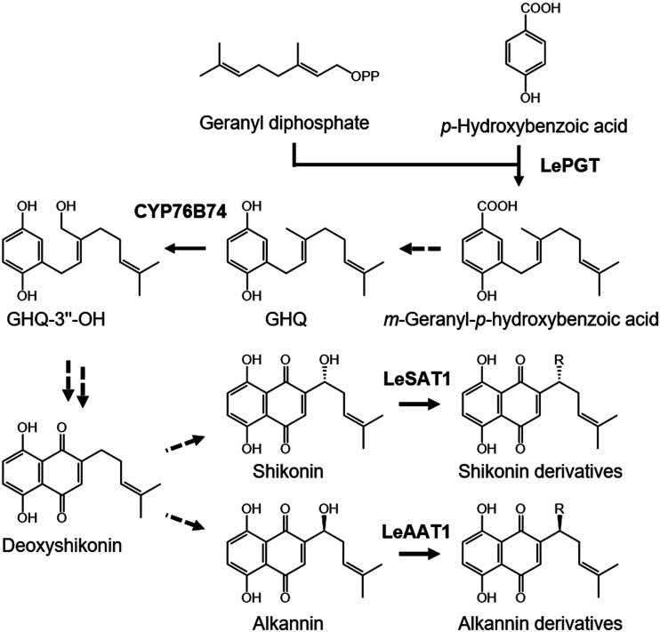 Figure 1.