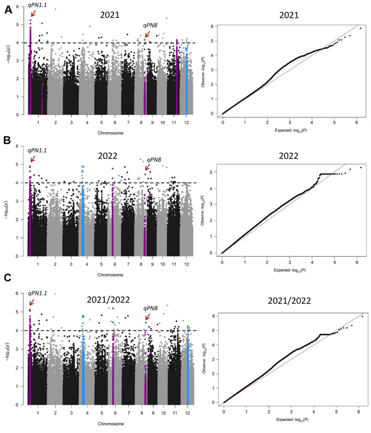 FIGURE 3