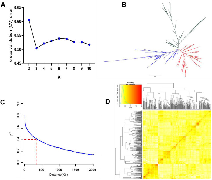 FIGURE 2