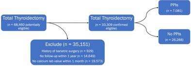 graphic file with name LIO2-10-e70163-g002.jpg