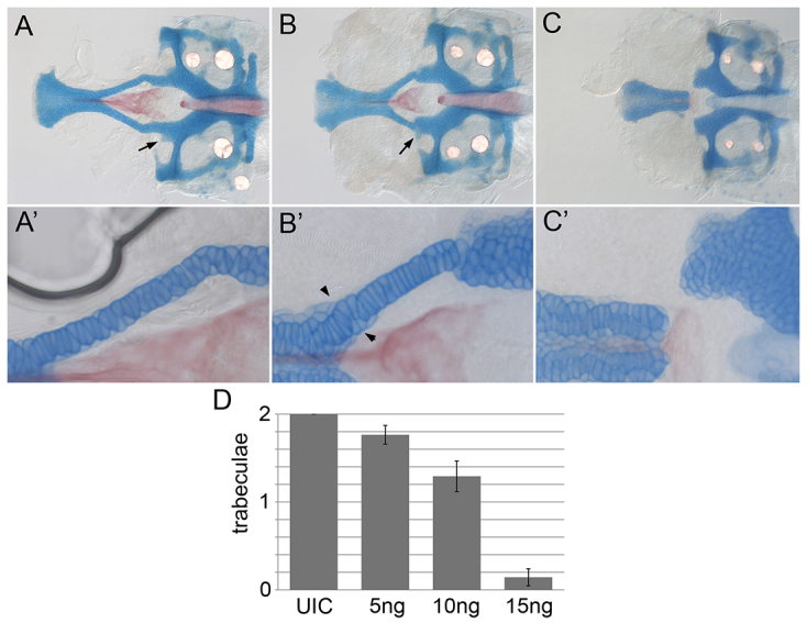 Fig. 4.