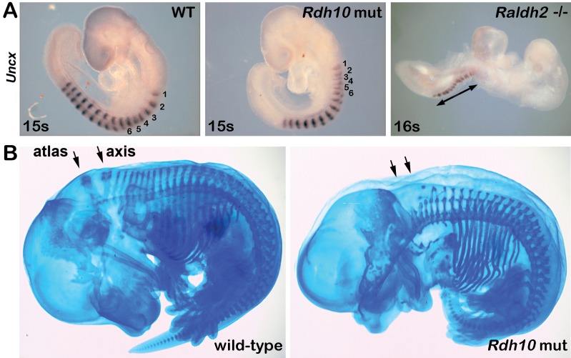 Fig 3